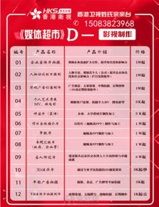 市場營銷策劃 從活動(dòng)策劃到整體營銷的戰(zhàn)略整合